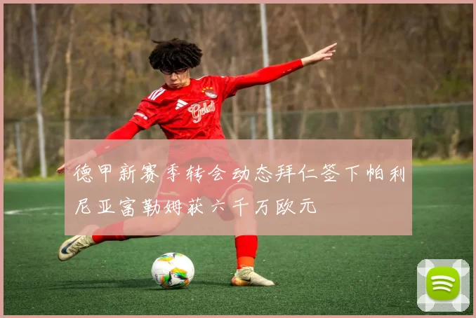 德甲新赛季转会动态拜仁签下帕利尼亚富勒姆获六千万欧元