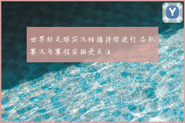 世界杯足球实况转播持续进行 各队赛况与赛程安排受关注